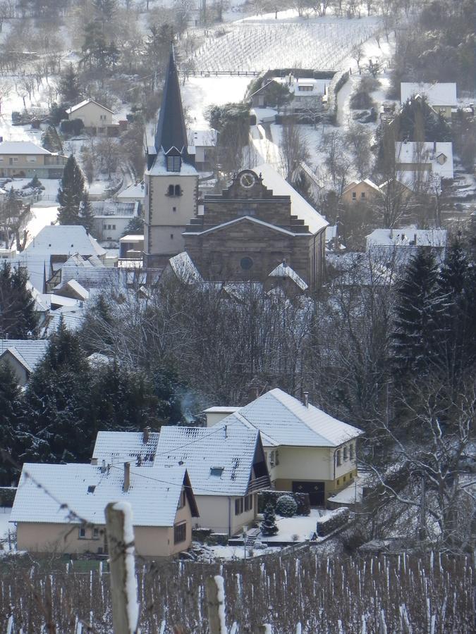 Nid De Cigognes Appartement Rosheim Buitenkant foto